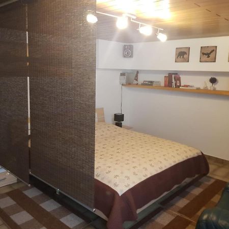 Gemuetliche Ferienwohnung Mit Kamin Und Sauna! Nistertal Exteriér fotografie