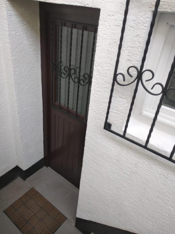 Gemuetliche Ferienwohnung Mit Kamin Und Sauna! Nistertal Exteriér fotografie