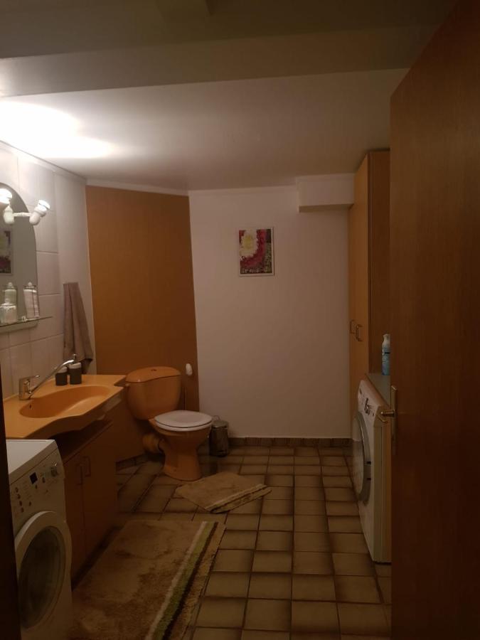 Gemuetliche Ferienwohnung Mit Kamin Und Sauna! Nistertal Exteriér fotografie
