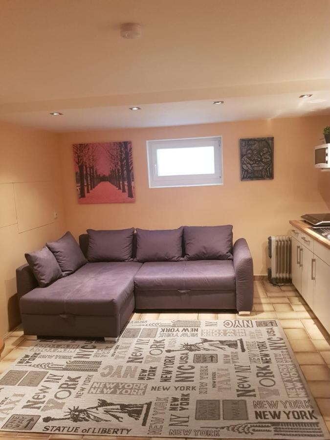 Gemuetliche Ferienwohnung Mit Kamin Und Sauna! Nistertal Exteriér fotografie