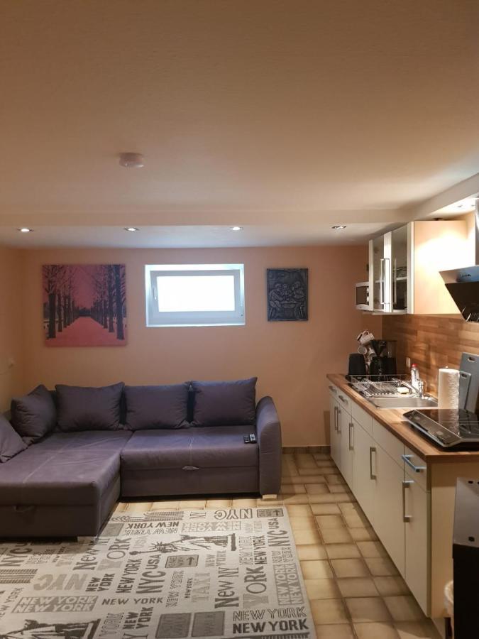 Gemuetliche Ferienwohnung Mit Kamin Und Sauna! Nistertal Exteriér fotografie
