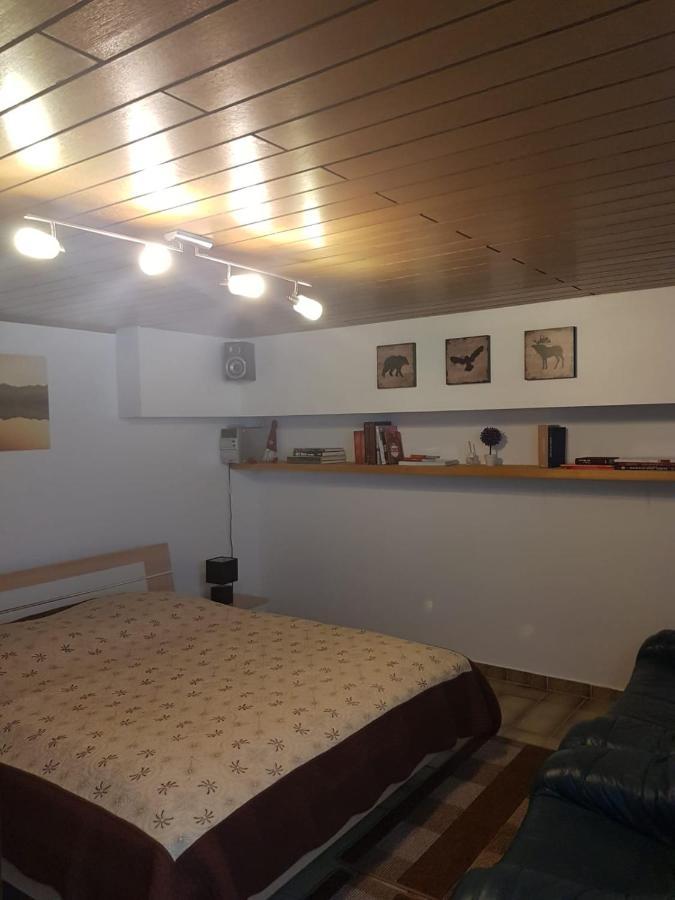 Gemuetliche Ferienwohnung Mit Kamin Und Sauna! Nistertal Exteriér fotografie